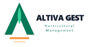 Altiva Gestion